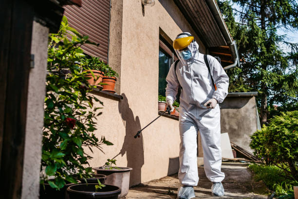 Best Exterminator Services  in Springdale, AR