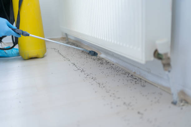Best Wildlife Control Services  in Springdale, AR